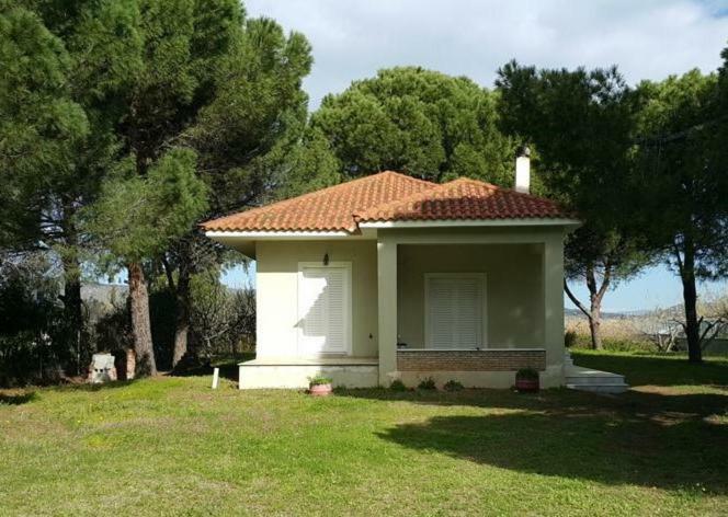 Villa Sunny Day Marathón Exteriér fotografie